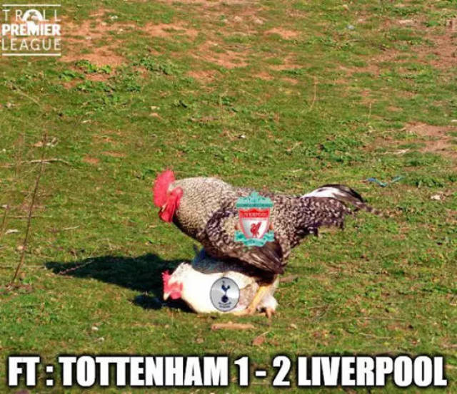 火星撞地球！枪手领跑英超&欧冠0丢球，拜仁新赛季17胜1平不败（豪门齐飞！阿森纳英超领跑欧冠零失球，拜仁新季17胜1平保持不败）